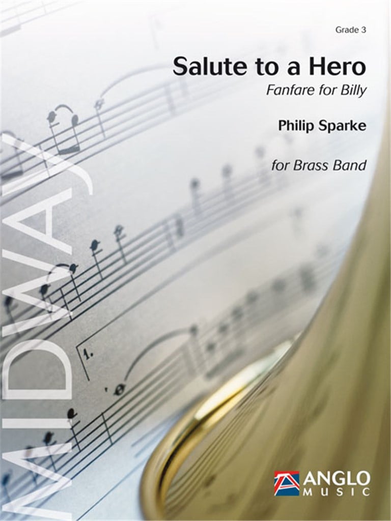 Salute to a Hero